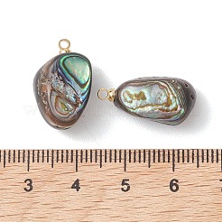 Natur Paua Muschel Anhänger&nbsp;PALLOY-JF05229
