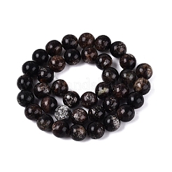 Perles naturelles biotite brins&nbsp;G-Q616-01D