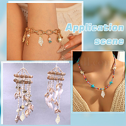 100шт 2 цвета подвески из натуральных ракушек PALLOY-WR00024