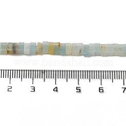 Натуральный цветок амазонитовые бусины пряди G-Z045-A04-01