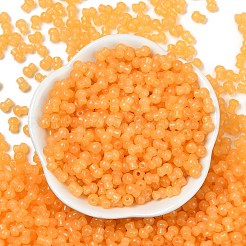 Стеклянные бусины прозрачных цветов SEED-R001-01S