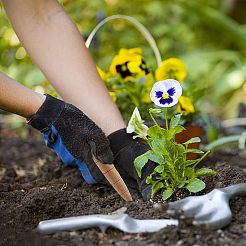 5 perforatrice en bois pour le jardin&nbsp;AJEW-CA0002-41