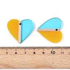 Прозрачные подвески из смолы и дерева RESI-T057-79