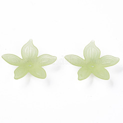 Прозрачные акриловые бусины&nbsp;MACR-S373-127-D06