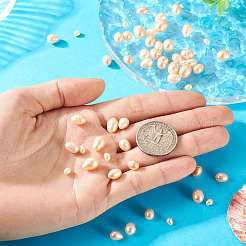 55 шт. 4 вида бусин из натурального культивированного пресноводного жемчуга PEAR-TA0001-18