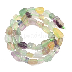 Природных красочные флюорита бисер нитей&nbsp;G-P497-01C-18