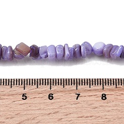 Бусины из натуральных пресноводных ракушек&nbsp;SHEL-B003-01L