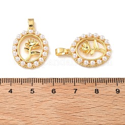 Цветок латунный паве натуральный белый ракушка овал с подвесками в виде цветка розы KK-M325-01G