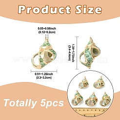 5 шт. подвески из натуральной морской ракушки&nbsp;SSHEL-YW0001-11