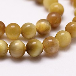 Chapelets de perles en œil de tigre naturelle&nbsp;LS-G-D840-54-8mm-03