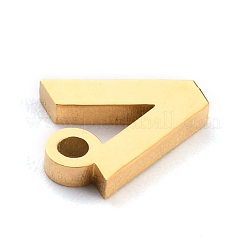 Anhänger aus Edelstahl 304&nbsp;STAS-F267-10V-G