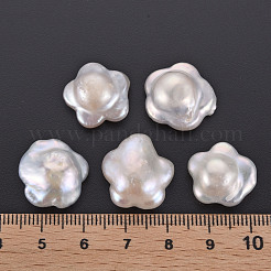 Натуральный кеши жемчуг бисер PEAR-N020-A01