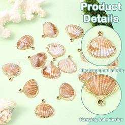 15шт. подвески из акрила с покрытием OACR-YW0002-61