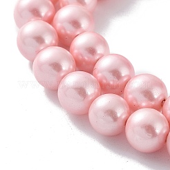Shell-Perle Perle Stränge&nbsp;X-BSHE-L025-06-8mm