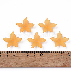 Прозрачные акриловые бусины&nbsp;MACR-S373-127-D05