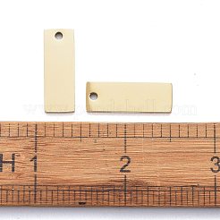 Placcatura ionica (ip) ciondoli in acciaio inossidabile 304&nbsp;LS-STAS-I140-22B-A