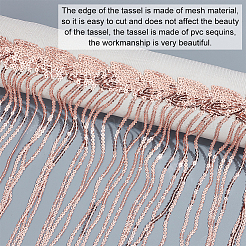 10 ярд полиэфирная сетчатая кружевная лента с блестящей кисточкой из пвх OCOR-WH0078-84B