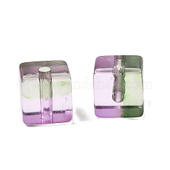 Двухцветные прозрачные акриловые бусины&nbsp;TACR-C002-03