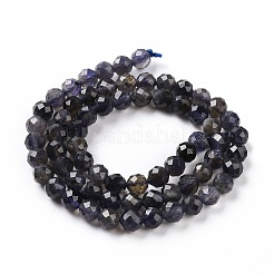 Perline iolite naturale fili&nbsp;G-P488-02A