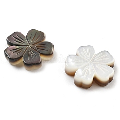 Резные бусины из натуральной черной ракушки SSHEL-Z002-02B