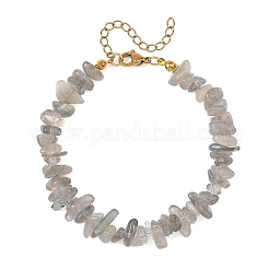 Natürliche Labradorit-Perlenarmbänder&nbsp;BJEW-JB14508