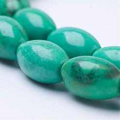 Естественно Howlite шарик нити G-P286-08-A