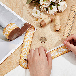 5m de rubans polyester&nbsp;DIY-OC0013-22B