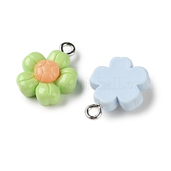 Подвески из непрозрачной смолы&nbsp;RESI-I352-02P-02