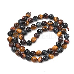 Трехцветные нити бусин из натурального тигрового глаза&nbsp;G-L642-F08-6mm