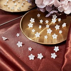 600 шт. 2 стильных колпачка для бусин из АБС-пластика с имитацией жемчуга&nbsp;OACR-FH0001-032