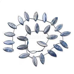 Натуральный кианитовые бисер пряди&nbsp;G-H335-H01-10x25mm