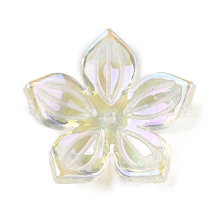 Uv акриловые покрытия бусины OACR-K005-18