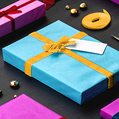 10 ярд односторонней бархатной ленты SRIB-LP0001-02P