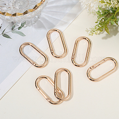 6 anneau de porte à ressort en alliage&nbsp;FIND-SP0001-24KCG