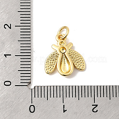 Латунь подвески&nbsp;KK-I364-05G-05