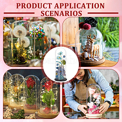 Couvercle de dôme en verre transparent&nbsp;ODIS-WH0177-017B-02