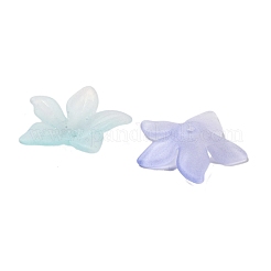 Прозрачные акриловые шарики OACR-B022-02C