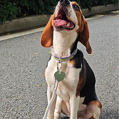 1 шт. брелок из искусственной кожи pu&nbsp;KEYC-SP0001-45