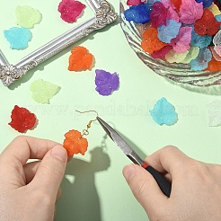 360 шт. 12 цвета осенняя тема прозрачные матовые акриловые подвески&nbsp;MACR-YW0004-03