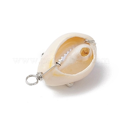 Подвески из натуральной каури PALLOY-JF03814-01