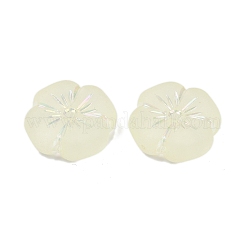 Матовые прозрачные акриловые бусины OACR-P029-19B-03