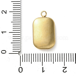 304 Edelstahl-Acryl-Anhänger&nbsp;LS-STAS-M091-02C-G