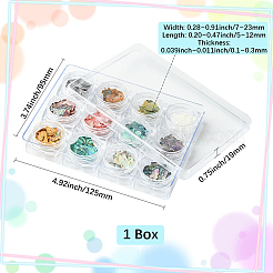 12 цвет ракушки чипсы украшения для ногтей аксессуары&nbsp;DIY-WH20002-669