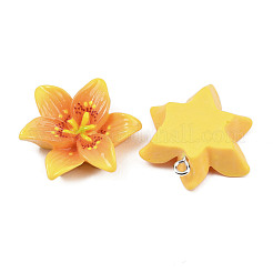 Подвески из непрозрачной смолы&nbsp;CRES-D328-04D