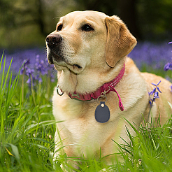 Брелки из искусственной кожи&nbsp;AJEW-CL0001-55B