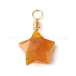 Природные смешанные подвески драгоценных камней PALLOY-JF00929