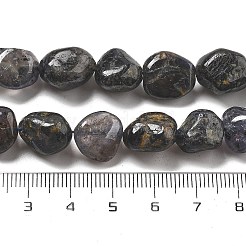 Природные иолит нитей бисера G-C179-F06-01