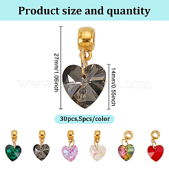 30шт 6 цветной стеклянный кулон PALLOY-GO00009