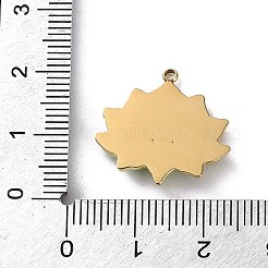 Подвески из нержавеющей стали 304 с эмалью&nbsp;STAS-Z146-02G-01