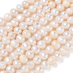 天然養殖淡水パールビーズ連売り  グレードAB  ポテト  ベージュ  7~8mm  穴：0.5mm  約52個/連  13.19~13.39''（33.5~34センチメートル）&nbsp;PA-CBAC463-06